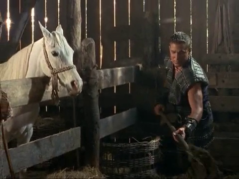 File:Pests horse 2.png