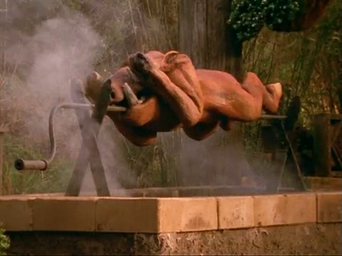File:Wild Boar Roast screencap.png