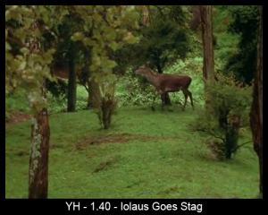 YH 1.40 - deja deer hunting.png